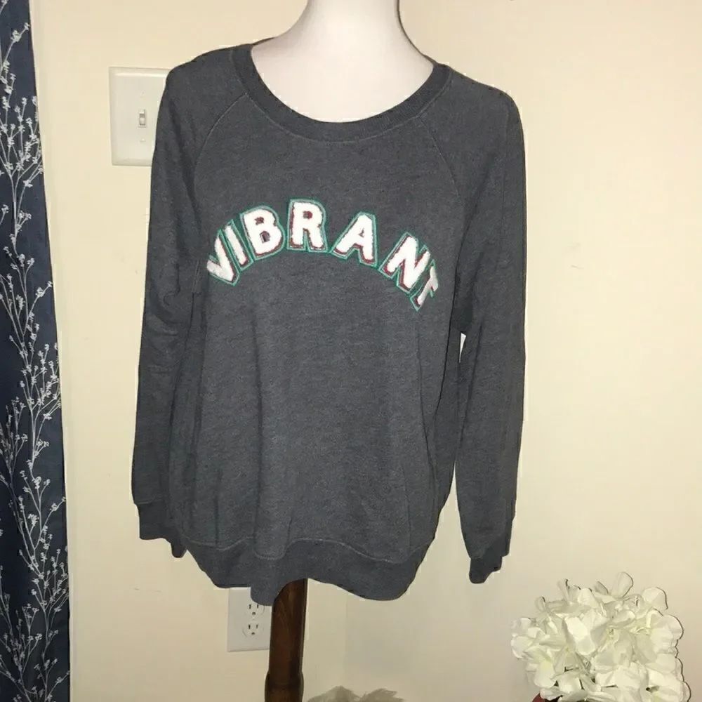 Wildfox Gray Sommers Vibrant Spell Out Sweatshirt sz S